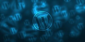 Wordpress Transient Data