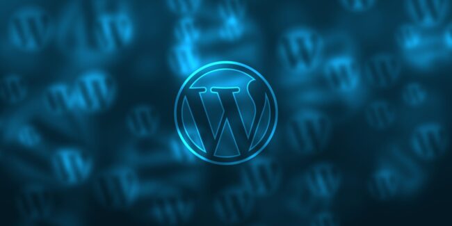 Wordpress Transient Data